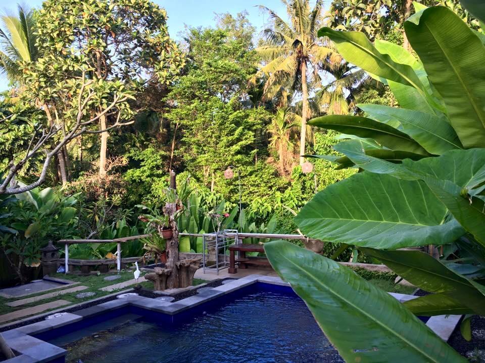 Kerta Family Bed And Breakfast Ubud Exterior foto